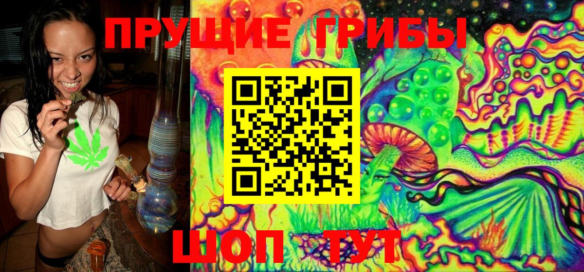 Тобольск  Псилоцибиновые грибы ЛСД  где купить наркоту  Вход с VPN 